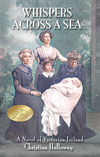 cover of book